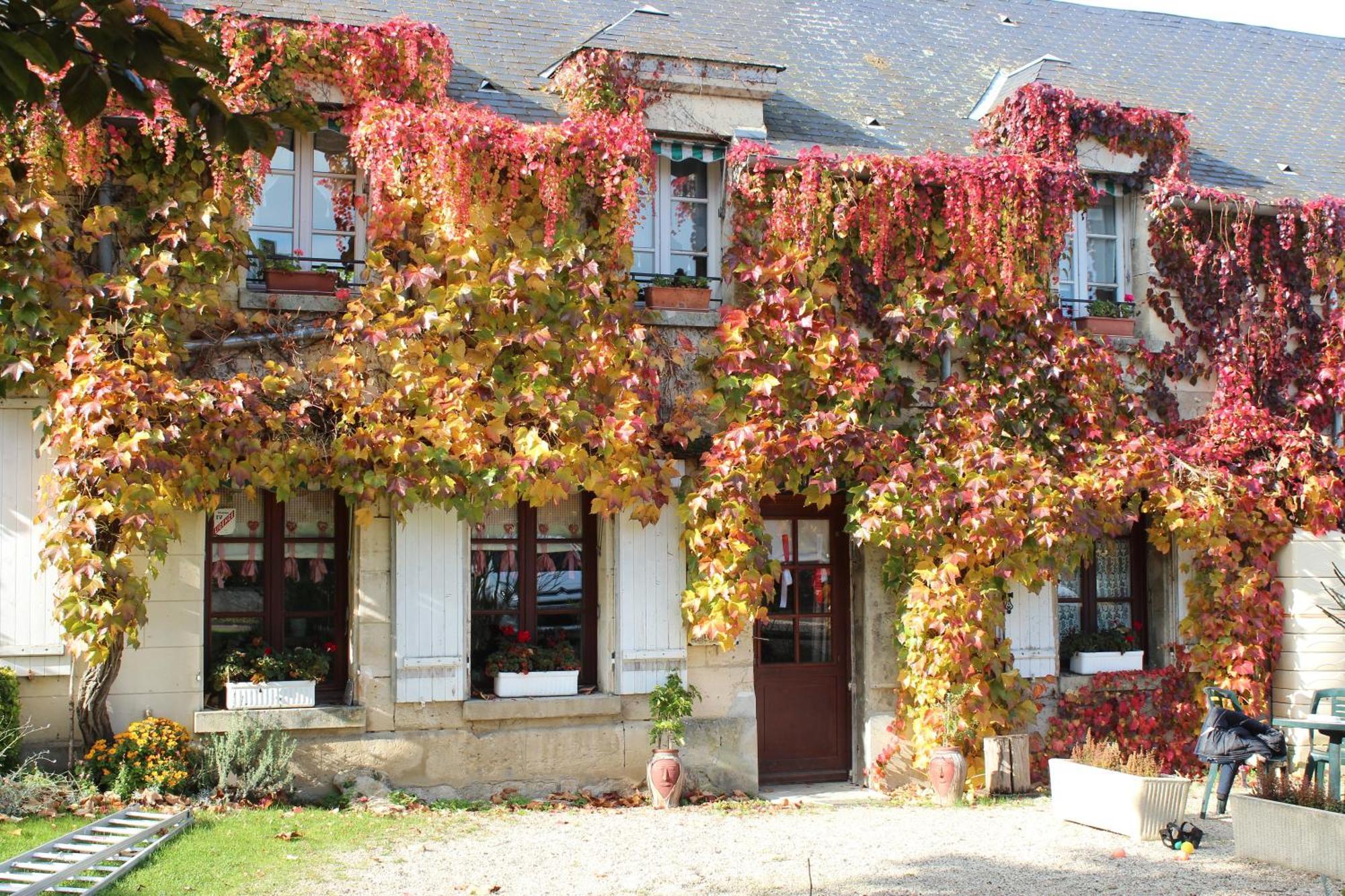 Ma Gentilhommiere Bed & Breakfast Croutoy Екстериор снимка